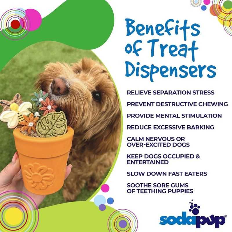 This enrichment Flower Pot Dog Treat Dispenser promotes mental stimulation and combats boredom. Fill the pot with your dog's favourite treats and keep them entertained for hours.