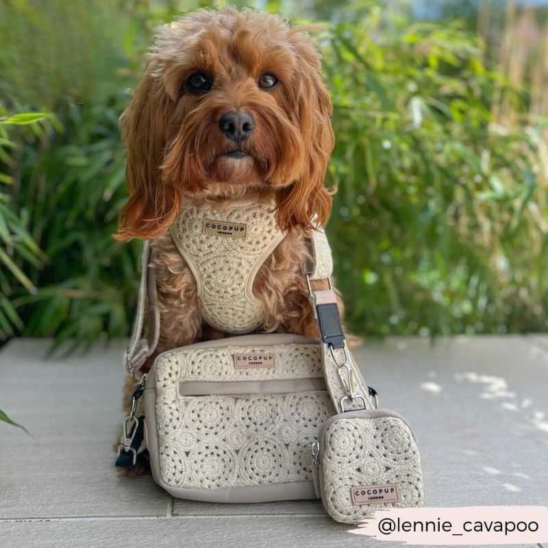 This beautiful Dog Walking Bag in Festival Crochet offers the ideal solution to your dog walking needs. Say hello to this great summer-inspired dog walking bag bundle. 