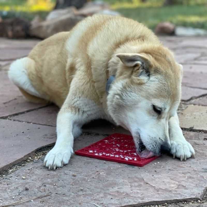 The Heart-Dog Lick Mat is designed for dogs and is the perfect enrichment tool for your pup. Licking soothes and calms your dog and is a great boredom buster.  