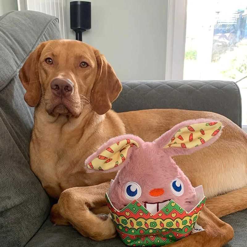 Our multifunctional Easter Bunny Dog Toy will keep your dog mentally stimulated. This toy ticks all the boxes your dog needs by acting as an interactive food puzzle and cuddly plush toy.
