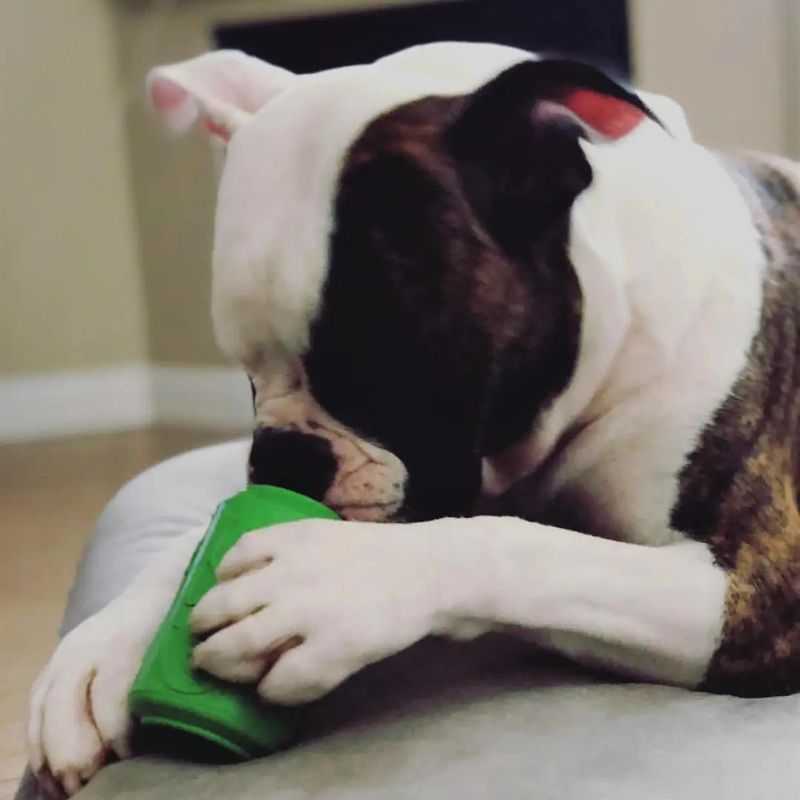 Soda anyone? This durable Chew Toy Treat Dispenser will withstand even the most enthusiastic chewer.  It can help with problem chewing behaviours. Fill the soda can with your dog's favourite treats and keep them entertained for hours.