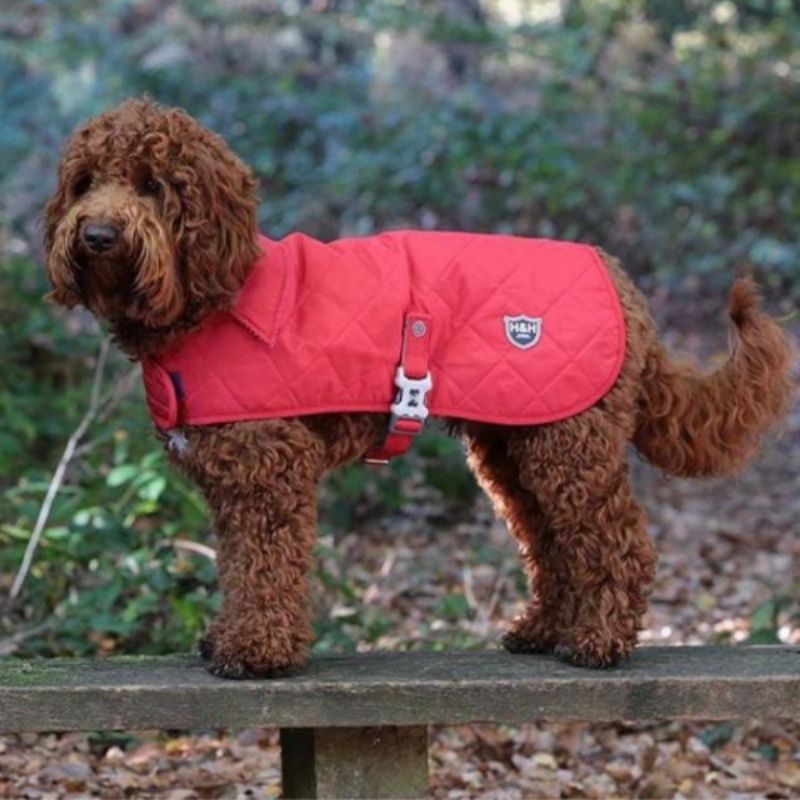 This Red Quilted Dog Jacket will keep your dog warm & cosy on a cold winters day.