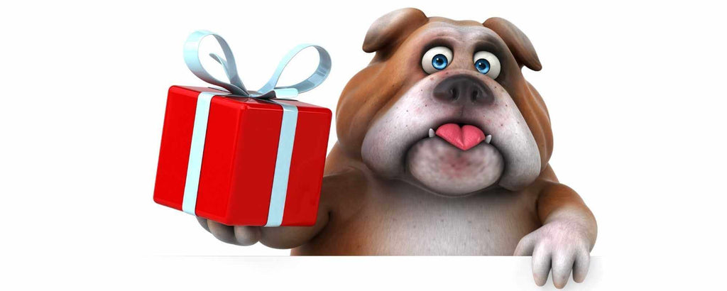 Best Dog Gifts. Whatever the occasion there is always a reason to spoil your dog with the best dog gifts. 