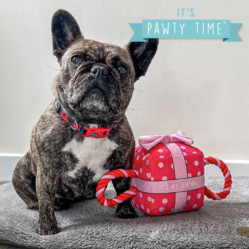 Treat your dog to the Ancol Birthday Present Dog Toy on their special day. The 2-1 toy is perfect for a game of tug-of-war, while the built-in squeaker adds fun and excitement.