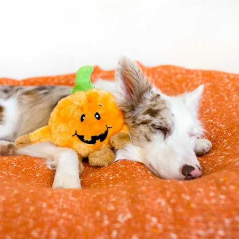 Brainey Pumpkin Dog Toy is a great Halloween Gift for your dog. This captivating little creature is designed to be the perfect shape and size for entertaining dogs of all sizes.