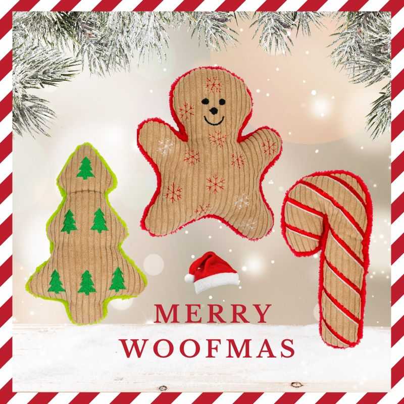 Our Festive Dog Toy Bundle will bring your dog a touch of holiday magic this Christmas. The bundle includes a Gingerbread Man, a Candy Cane and a Christmas Tree.