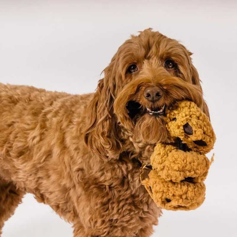 Fuel up the fun with our Cookies n' Treats Dog Toy. Features a trio of crinkle fabric cookies on a rope that features a squeaker on the end of each cookie for double the fun. 