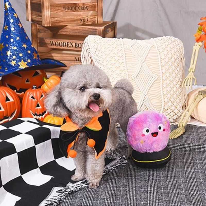 Add a sprinkle of magic to your dog's playtime with our Crystal Ball Halloween Dog Toy. It features a crow inside for your dog to dig out. Hide snacks in the hidden pocket for fun.