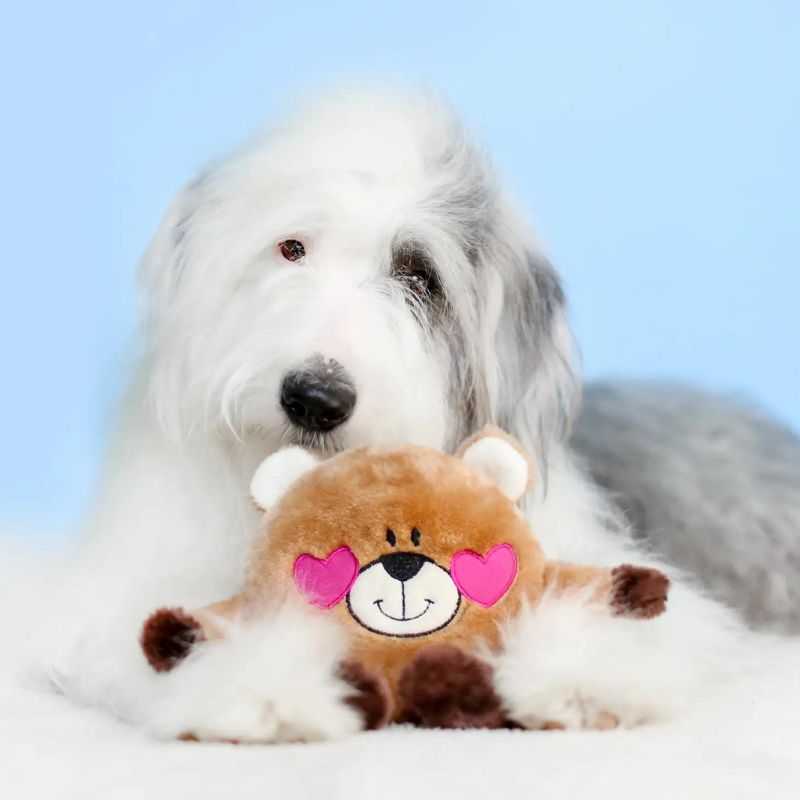 The Bear in Love Dog Toy is a super adorable critter who is short on limbs but big on snuggles and cuddles with your dog.  This toy is the perfect shape and size to entertain dogs of all sizes.  A great Valentine's gift for your dog.