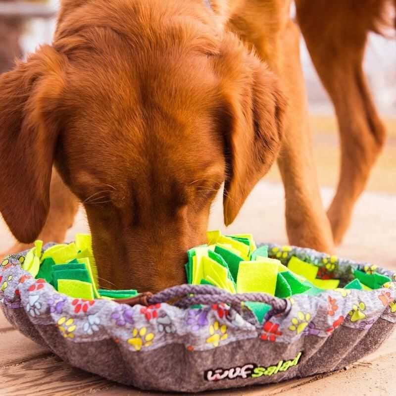 The Dog Snuffle Mat Salad Bowl provides a fun and stimulating play activity for your dog. Hide treats inside to start the sniffing game. Interactive play between you and your dog.