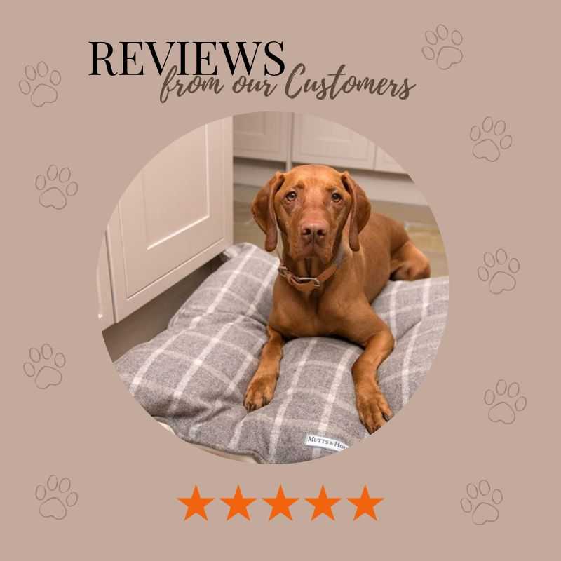 Reviews on a Mutts and Hound Dog Bed