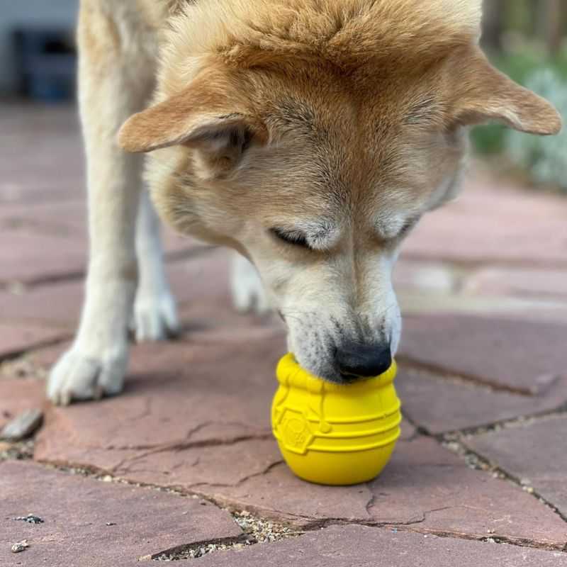 This enrichment Honey Pot Treat Dispenser offers your dog mental stimulation. It helps with problem chewing behaviours. Fill the pot with dog treats to keep them entertained. 