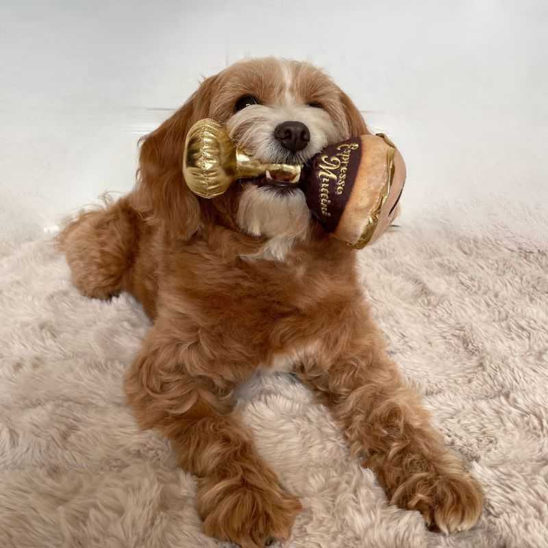 Perk up your pup's playtime with the Espresso Muttini Dog Toy. This plush, squeaky dog toy perfectly blends chic and charm. Indulge your dog in the trendiest play accessory inspired by the coffee culture.