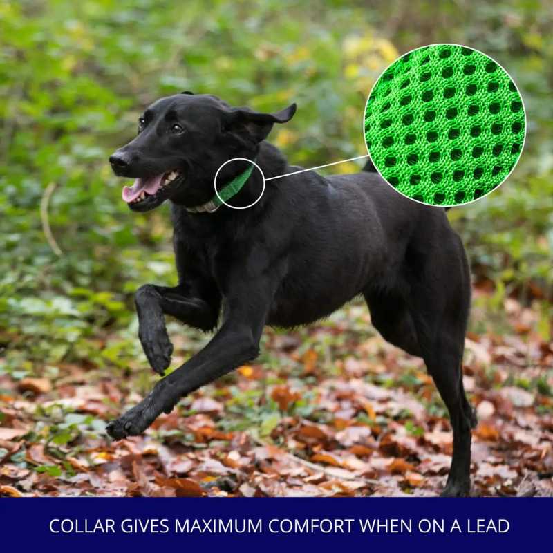 Your dog will look stylish in our Green Mesh Dog Collar from Hugo & Hudson.  Built with quick dry material, this collar is also great for aquatic friends that love to go for dips in the river, sea or lake.