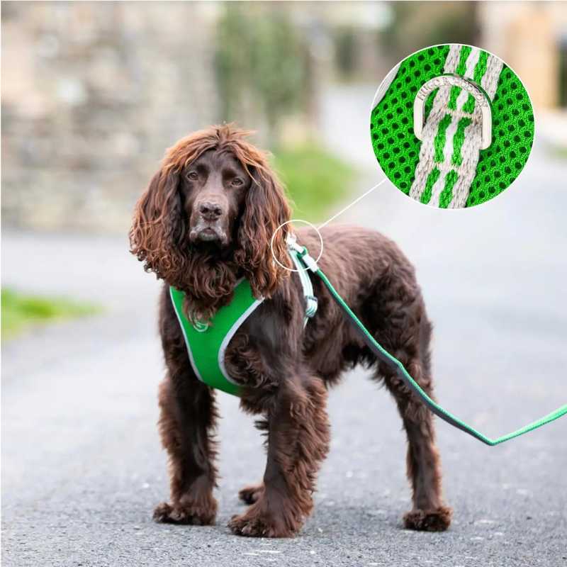 The Hugo & Hudson Green Mesh Dog Harness offers a stunning combination of breathable, quick-dry material and vibrant colours with stress-tested buckles.  Its unique design prevents neck pressure and pulling, making it ideal for swimming and daily walks. The quick-dry mesh material can be easily washed by hand or in the washing machine.