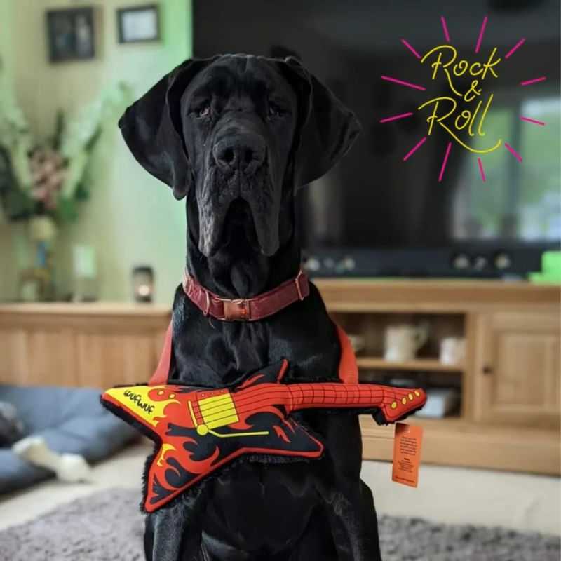 Turn your dog into a rock star and give them the Microphone and Guitar Dog Toy set.  Unleash your pup's inner star. Great for interactive play between dog and paw parent.