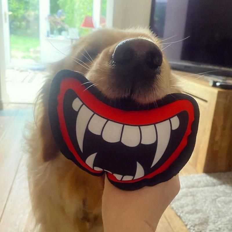 Get your furry friend involved this Halloween with our Vampire Fang Dog Toy. Every vampire needs a good set of fangs and now your dog can join in on the Halloween fun. 