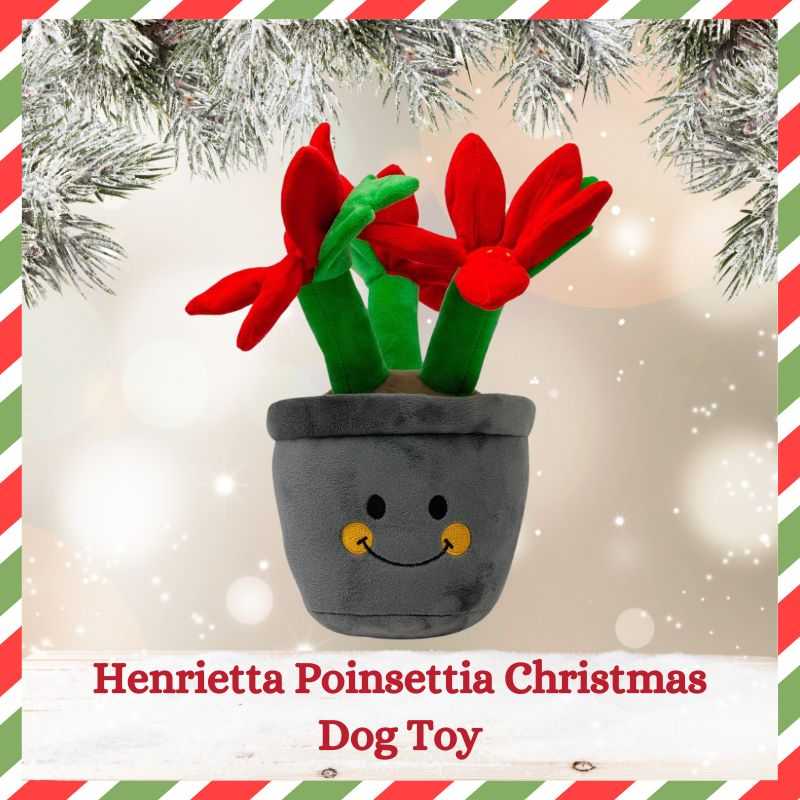 Henrietta Dog Toy features a Poinsettia flower design that captures the essence of Christmas. Soft plush texture and squeaker, this toy will keep your dog engaged this Christmas. 