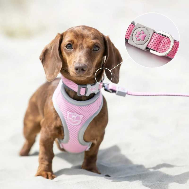Your dog will look stylish in our Pink Mesh Dog Collar from Hugo & Hudson.  Built with quick dry material, this collar is also great for aquatic friends that love to go for dips in the river, sea or lake.