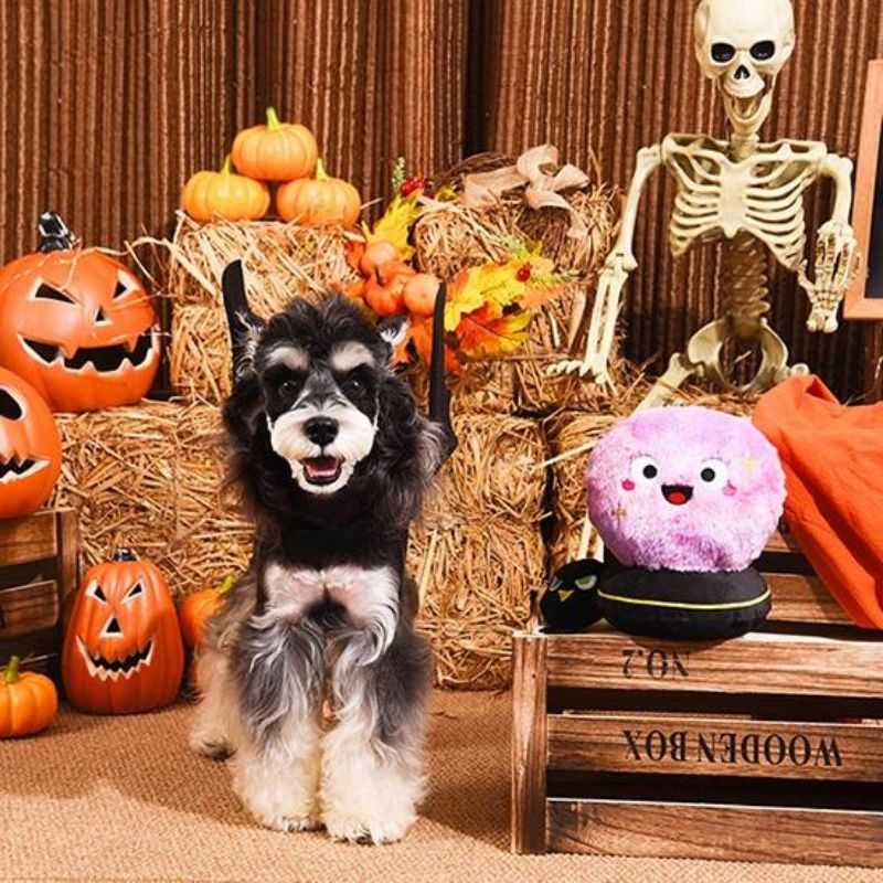 Add a sprinkle of magic to your dog's playtime with our Crystal Ball Halloween Dog Toy. It features a crow inside for your dog to dig out. Hide snacks in the hidden pocket for fun.