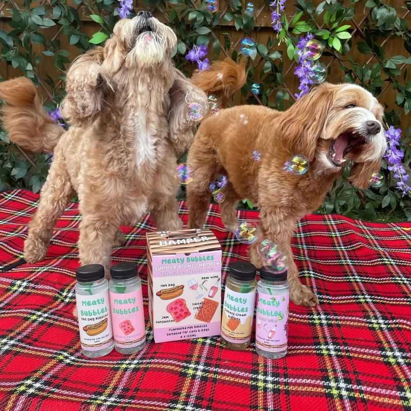 Turn your pup's playtime into a delicious adventure with our mouth-watering flavoured bubbles for dogs. This summer-themed picnic hamper will be a hit with your four-legged friend.