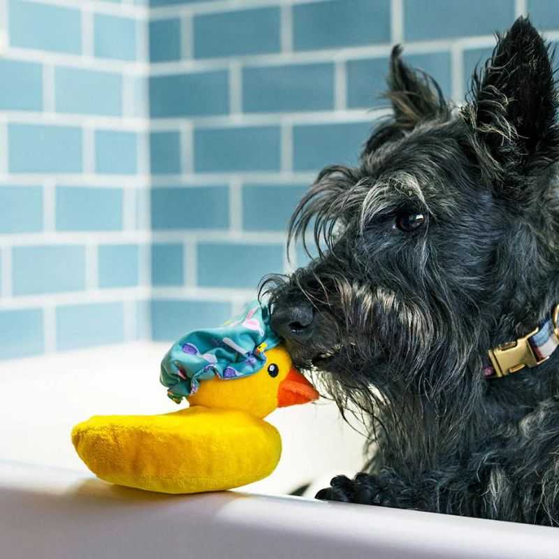 Bathtime is a whole lot better with Bubbles the Duck Dog Toy. This toy has a crinkly shower cap and a disc-shaped squeaker. The best part is that Bubbles sounds like a real duck