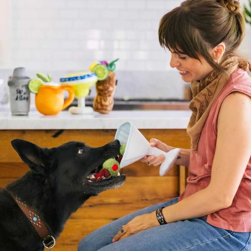 Your dog will savour every squeak, crinkle and tug with our martini-inspired Pawtini Dog Toy. Features a tube squeaker, crinkle glass and an olive dangling from a t-shirt rope. 