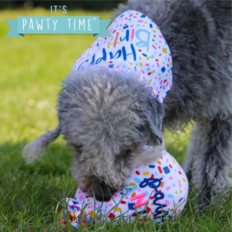 The Ancol Pawty Balloon Dog Toy is the perfect birthday gift for your dog's special day. The toy features different textures and a squeak for added interest. The ideal dog gift.