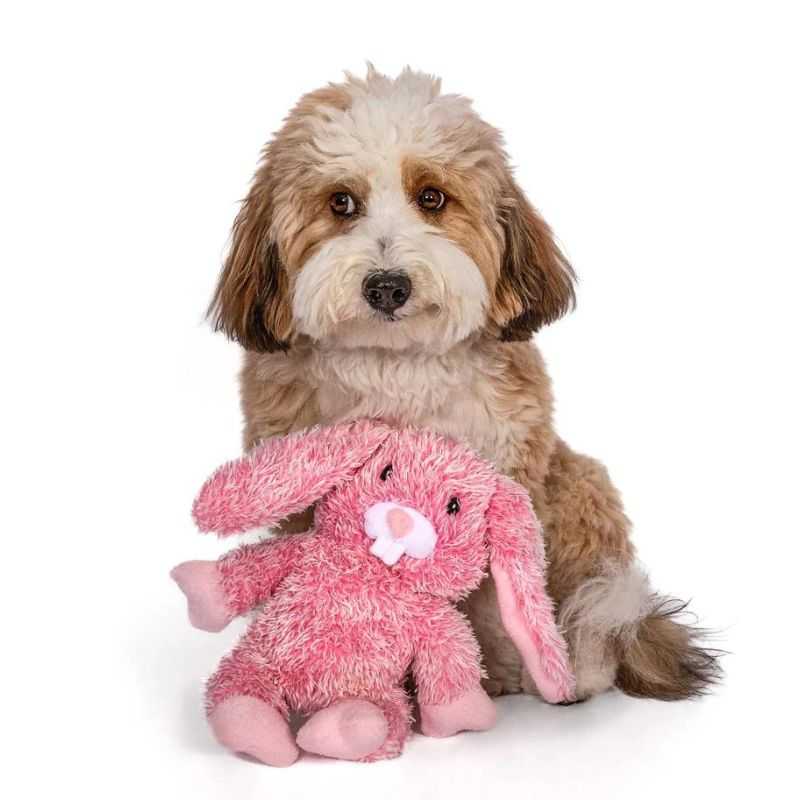 This adorable Pink Fluffy Bunny Dog Toy features 3 squeakers to keep your dog occupied for hours. Your dog will never run out of occasions to play, and you'll get a much-needed break from gnawing on your fingers.
