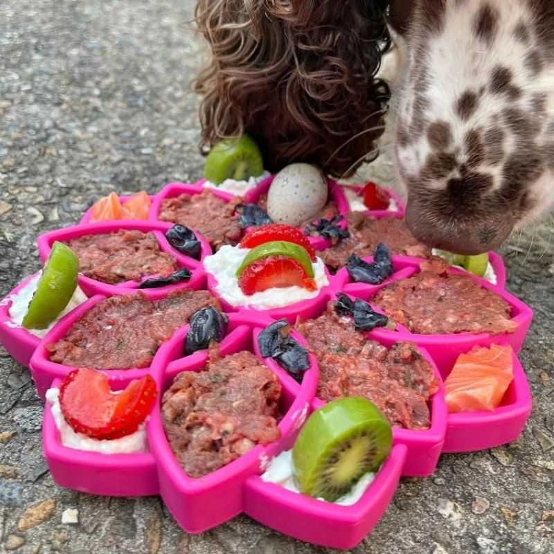 The Enrichment Tray for dogs promotes healthy slower eating and improves digestion. Perfect for all-sized dog breeds including puppies. You can use the tray for snacks or meals.