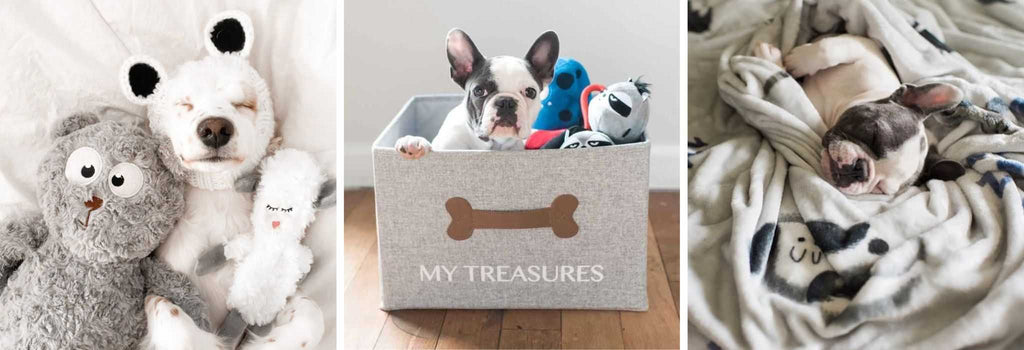 Dog Storage and Toys