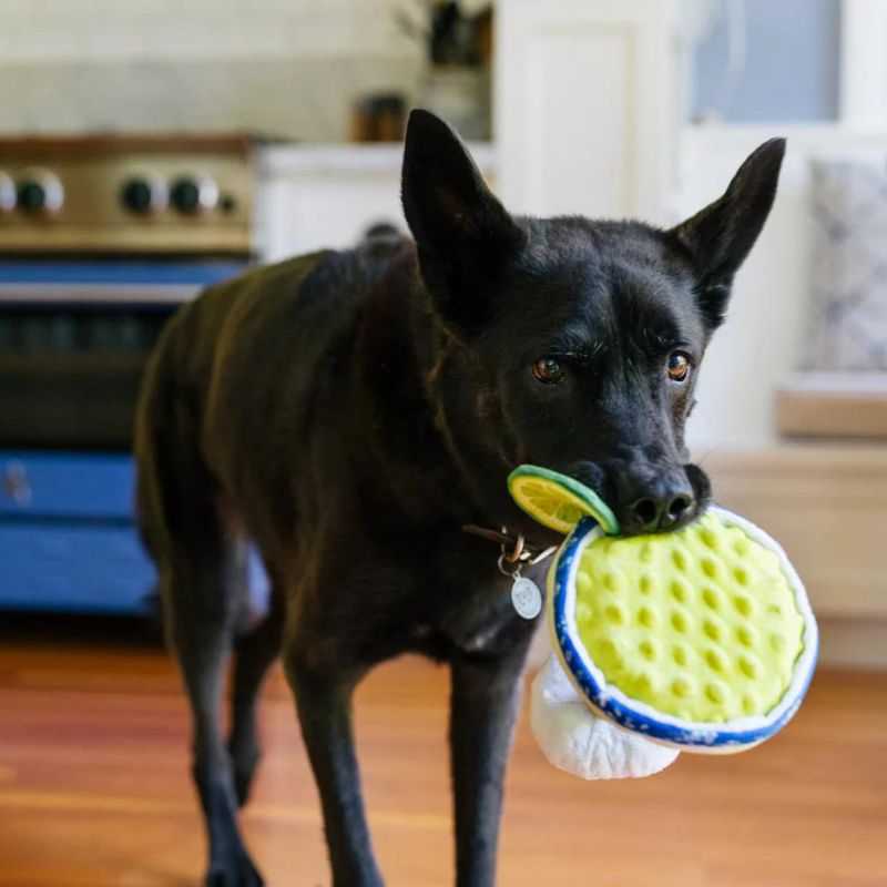 Treat your pup to playtime paradise with the Pup-arita Dog Toy. Features a disc squeaker, hidden rope, and a crinkle lime for extra zest. Double-layer material for durability. 