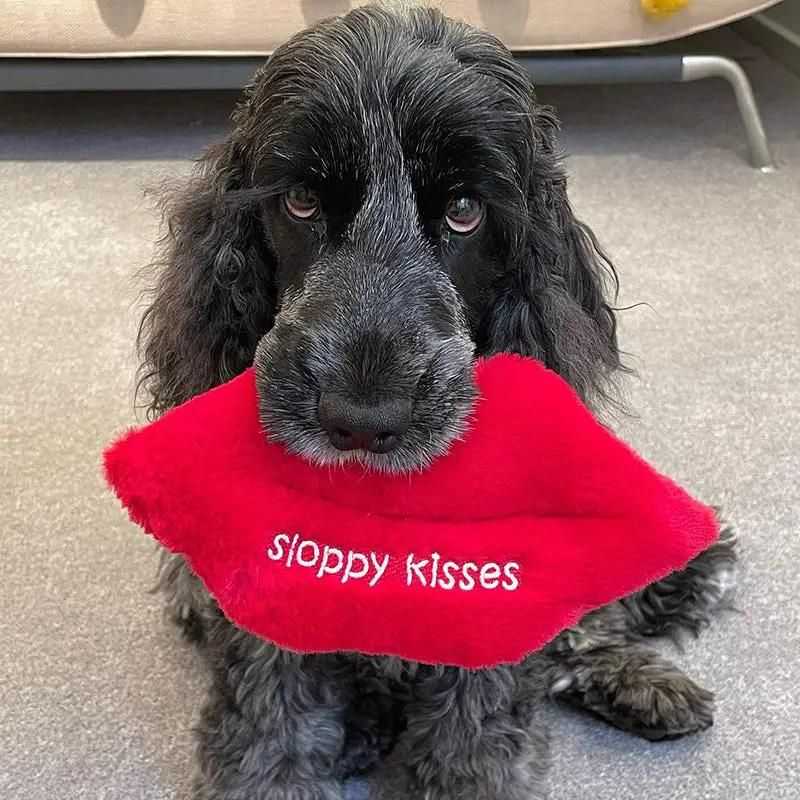 Love is in the air with this adorable lip-shaped plush dog toy. Inspired by our love of slurps from our pets. We have designed the perfect sloppy kiss made from the softest plush fabric.  