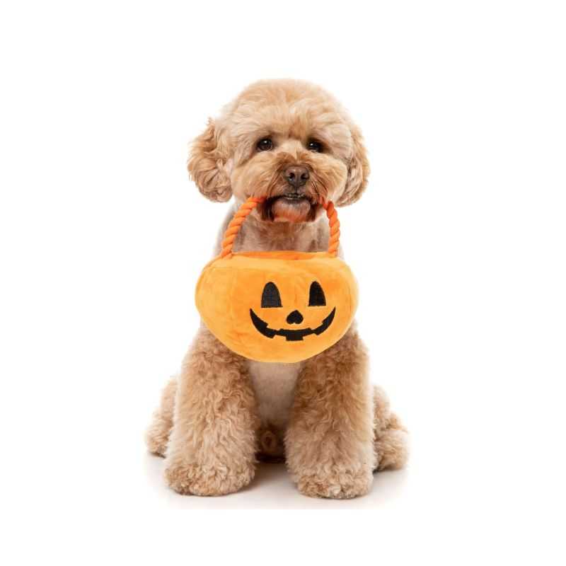 Your pet can join the Halloween fun with its Trick or Treat Pumpkin Basket Dog Toy. It features a pouch for collecting their favourite treats, making it the perfect Halloween gift 