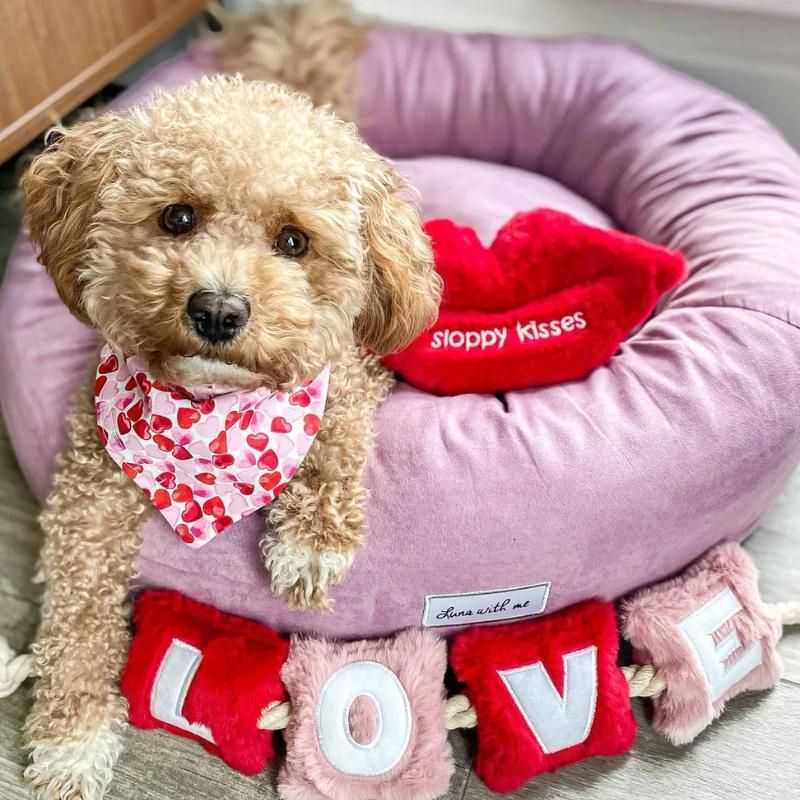 Love is in the air with this adorable lip-shaped plush dog toy. Inspired by our love of slurps from our pets. We have designed the perfect sloppy kiss made from the softest plush fabric.  