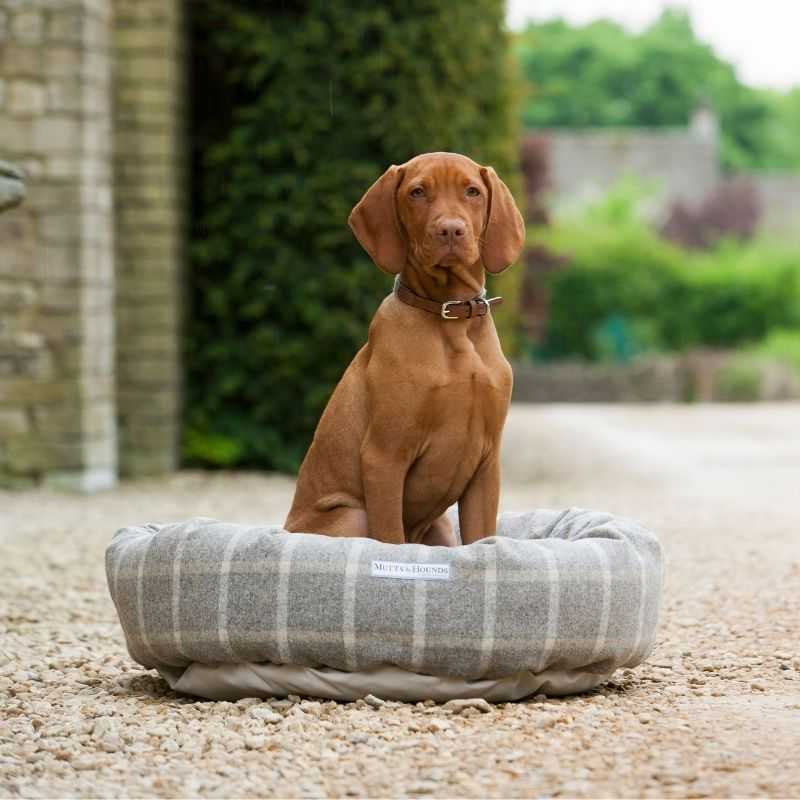Mutts and Hounds Dog Bed