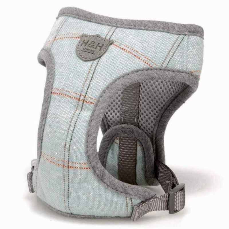 An Aqua Blue Checked Tweed Dog Harness for that stylish hound