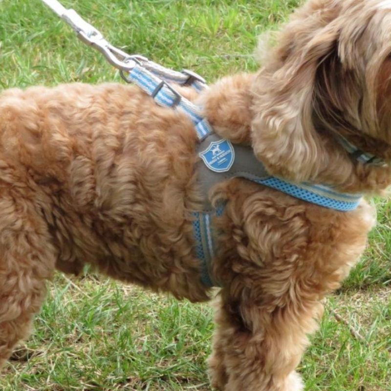 The blue stripe dog easy harness is made from quick-drying mesh fabric. This simple to use harness has been designed for complete comfort for your dog. 