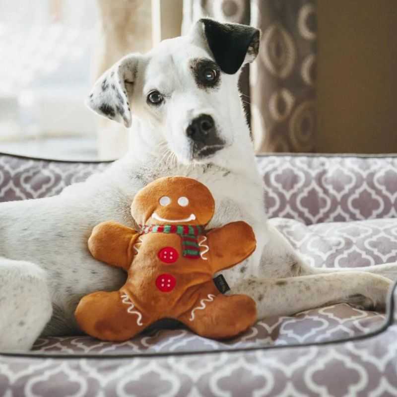 Gingerbread Man Dog Toy. Your dog deserves the best this festive season, so spoil them with our Gingerbread Man Dog toy. Being good all year can be ruff, so reward your furry friend this Christmas with the toys they are sure to cherish.