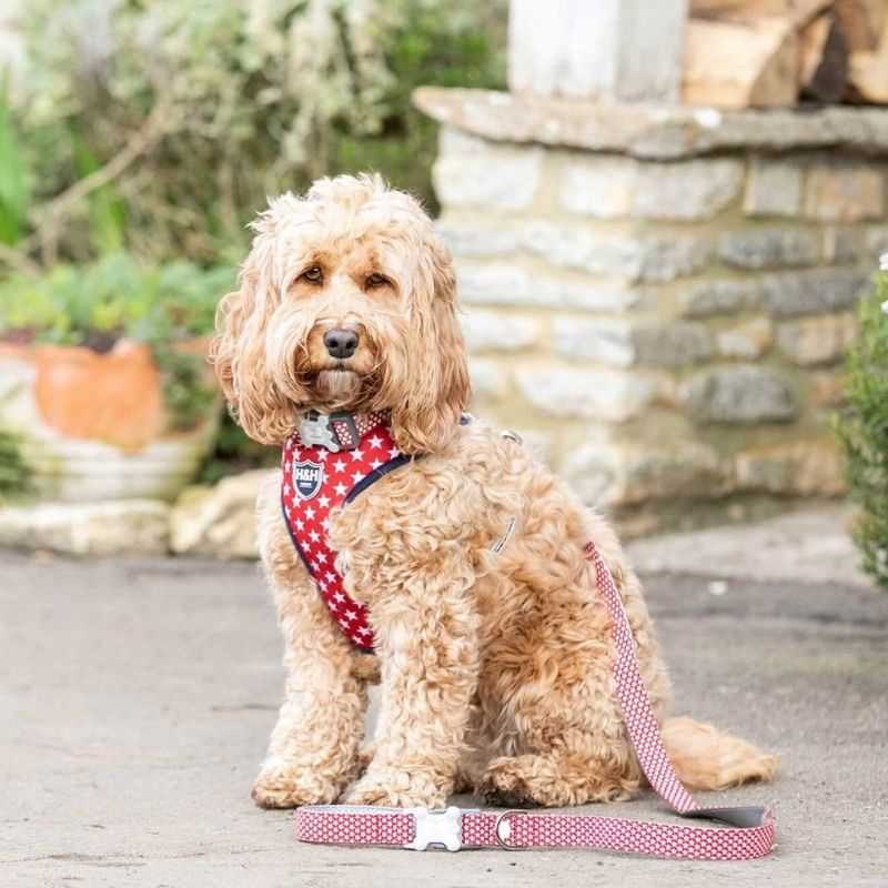Your dog will feel comfortable in this Hugo & Hudson Soft Padded Red Star Dog Harness.  The design of this harness prevents pulling and pressure around your dog’s neck.