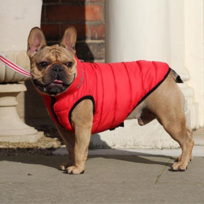 Red Dog Puffer Jacket that is water resistant and reversible so it can be worn in red or navy
