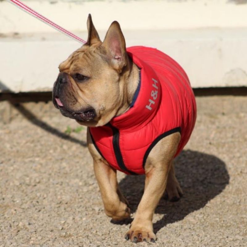 Red Dog Puffer Jacket that is water resistant and reversible so it can be worn in red or navy