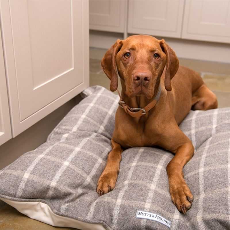 This luxurious Slate Tweed Pillow Dog Bed is a great choice if your dogs likes to stretch out whilst sleeping.