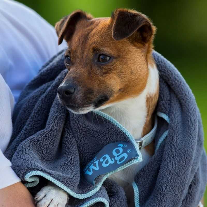 A luxurious microfibre cleaning and drying dog towel that easily removes dirt and water from your pet’s coat.