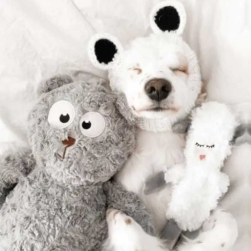 Our Moony and Woola Dog Toy will provide your pup with comfort and naptime snuggles. If your dog is a gentle chewer and loves a cuddle then this two-in-one dog toy would be ideal. Moony is a soft, comforting, warm companion for your dog. Where unstuffed Woola the Lamb offers squeaky, crinkly extra playtime fun.