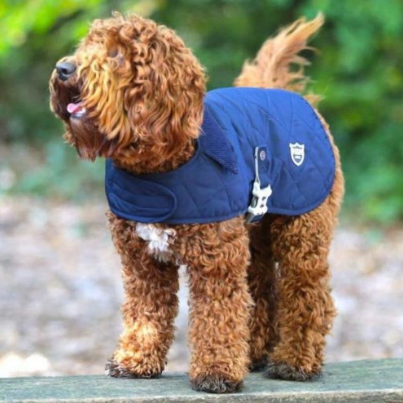 This Navy Blue Quilted Dog Jacket will keep your dog warm & cosy on a cold winters day.