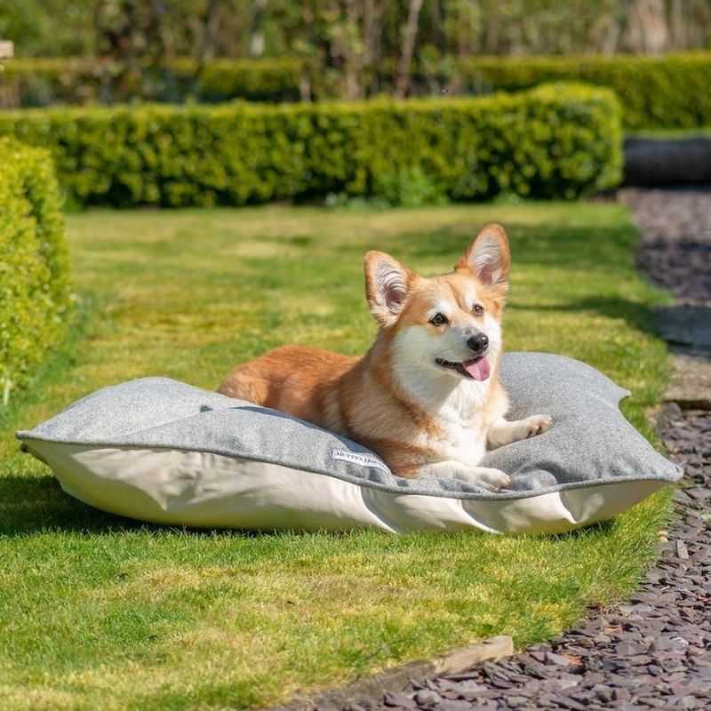 Grey Tweed Pillow Dog Bed. If your dog loves to stretch out whilst sleeping, our Grey Tweed Pillow Dog Bed is a perfect choice. Made from Yorkshire tweed these dog beds are stylish yet robust. The cushion is fibre-filled with removable zip covers.