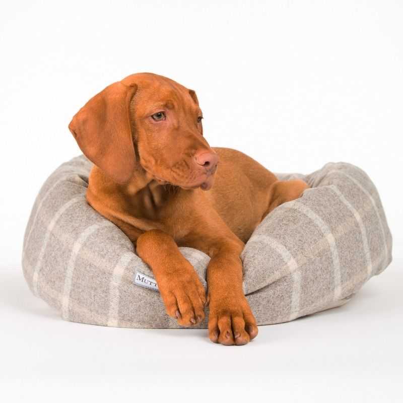 Slate Tweed Donut Dog Bed. The Slate Tweed Donut Bed has a stylish yet contemporary look. This design would suit both modern and traditional homes. These beautiful beds, handcrafted in England provide a luxury your dog will get used to!