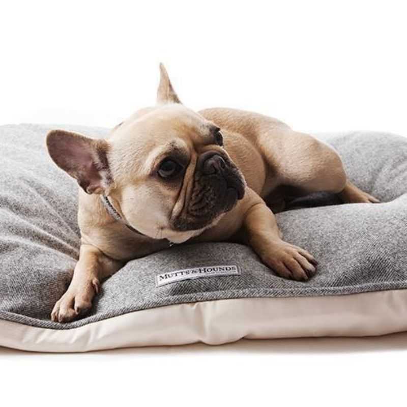 Grey Tweed Pillow Dog Bed. If your dog loves to stretch out whilst sleeping, our Grey Tweed Pillow Dog Bed is a perfect choice. Made from Yorkshire tweed these dog beds are stylish yet robust. The cushion is fibre-filled with removable zip covers.